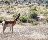 2019-07-14 Sunday Utah to Arizona RX408500 (RX10 IV)_dphdr.jpg