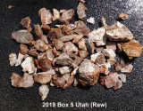 2019 Box 5 Utah RX409683 (Raw).JPG