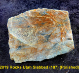 2019 Rocks Utah Slabbed (187) RX408454 (Polished).jpg