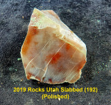 2019 Rocks Utah Slabbed (192) RX408506 (Polished).jpg