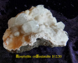 2022 Rock Show Vestal Apophyllite-Heulandite NEW04368 (Raw)_dphdr.jpg