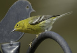 DSC_2673.jpg