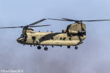  Chinook