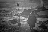 Changpa - nomads of the Changtang plateau