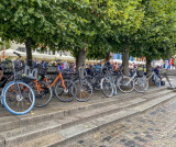 Copenhagen Bikes 2.jpg