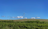 Poland windmills.jpg