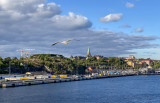 Gull Stockholm harbour
