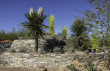 Phoenix Botanical Gardens