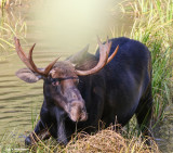 MR7_0200.JPG