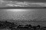 A Gray Day at the Lake