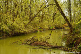 Coyote Canoe Access