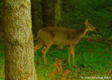 One of Our Neighbors
