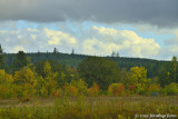 Fall Colors?  Where?