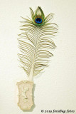 Peacock Feather on the Wall