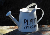 If You Want To Live A Dream, Plant One!