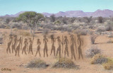 Desert_Party