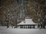Snowy Polson Park