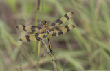 Halloween_Pennant.jpg