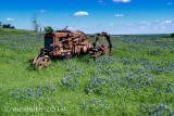 Tractor in the Bluebonnets
