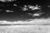20160821-084355-IMGP0263.JPG