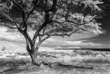 20190112-135714-IMGP0004.JPG