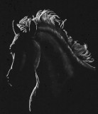 Silhouette horse - pastel on paper, 11 x 14 Photo Reference Karen Broemmelsick, 2019