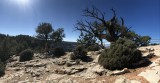 Dinosaur National Monument, Colorado