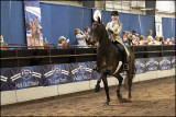 show00390.jpg