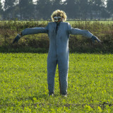vogelverschrikkers - scarecrows - épouvantails - espantalhos