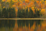 Itasca State Park: Colors of Minnesota