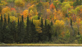 Mary_lake_shoreline_copy.jpg