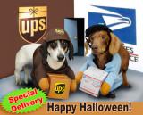 Dachshunds