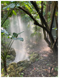 Fairchild Gardens.jpg