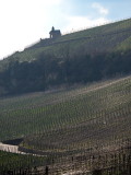 Chapel in the vineyards