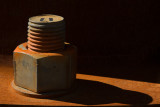 Portrait of a Shorter Bolt Processed-6634.jpg