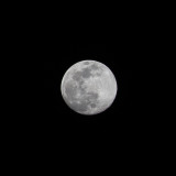 Moon_1024x1024.jpg