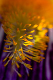For the abstraction not the details.-8084.jpg