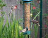 Cleared For Landing-0197.jpg