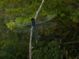 DF4_29JULY2020-9720.jpg