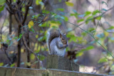 SusqStatePrkCatchOfTheDayUncropped-1315.jpg