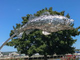 Rockfish Sculpture Closer-1074.jpg