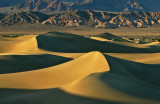 Mesquite Dunes1