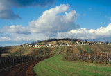 Wine Country - Lower Austria
