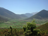 Agriculture near Tripoli