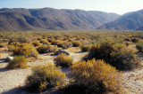 Anza Borrego State Park