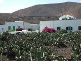 in village Arrieta,Lanzarote