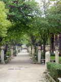 Ibleo Garden 