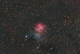 M20, the Trifid Nebula