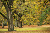 Herfst