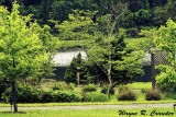 Bernheim_52019_018.jpg